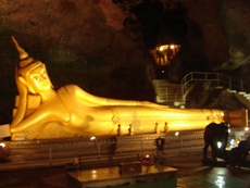 �}���S�X�e�B���g���x���E�I���W�i���p���K�[�p�c�A�[