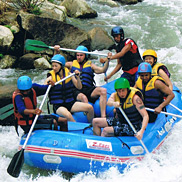 �}���S�X�e�B���g���x���E�I���W�i�����t�e�B���O�c�A�[