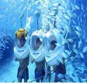 �v�[�P�b�g�E�R�[�������V�[�E�H�[�J�[ 